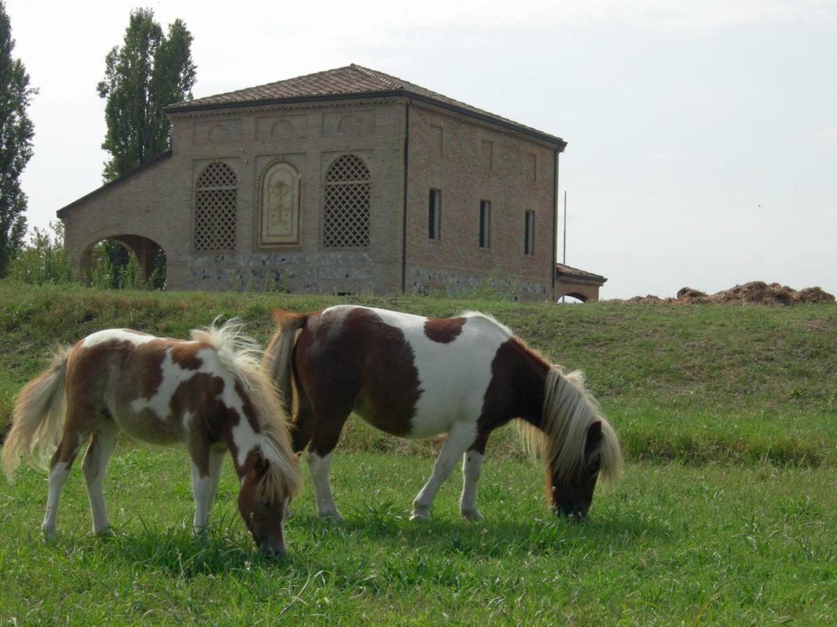 Agriturismo Corte Ghiara Hotel Fontanellato Exterior foto